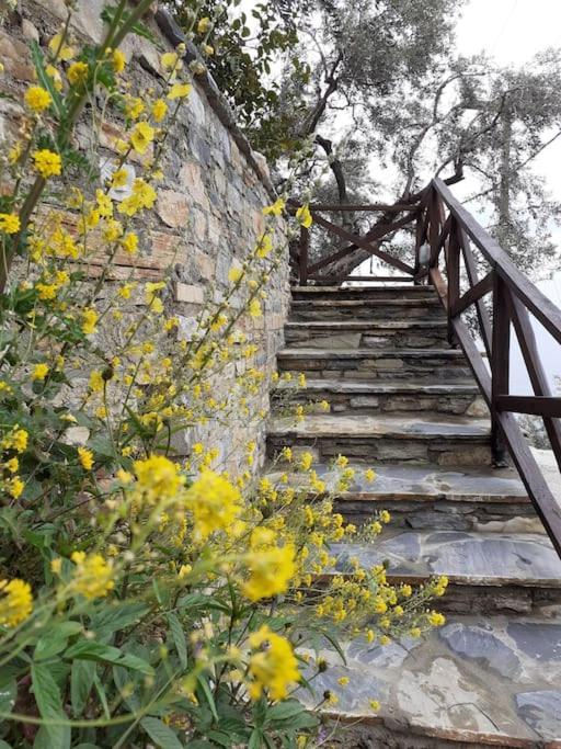 Limnionas Sunview Villa Xorychti ภายนอก รูปภาพ